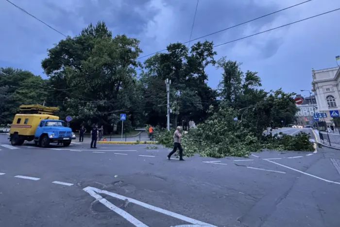 Western regions hit by severe weather (video)