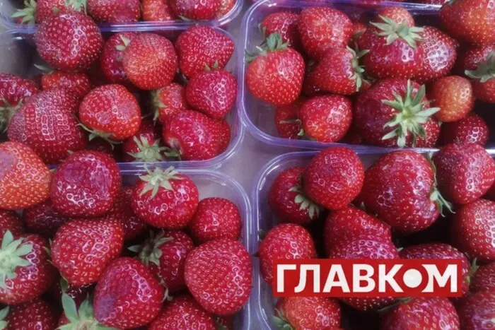 Полуниці не буде? Заморозки на Волині зіпсували більшу частину врожаю