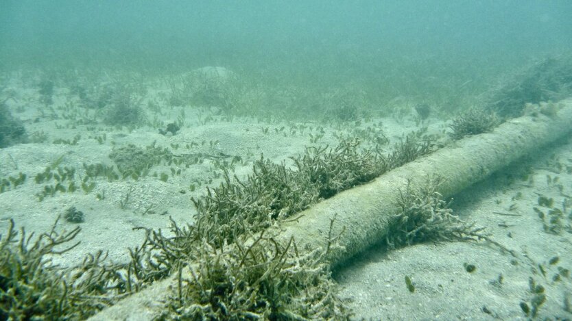 Europe and Asia call for cooperation to protect undersea cables amid rising threats