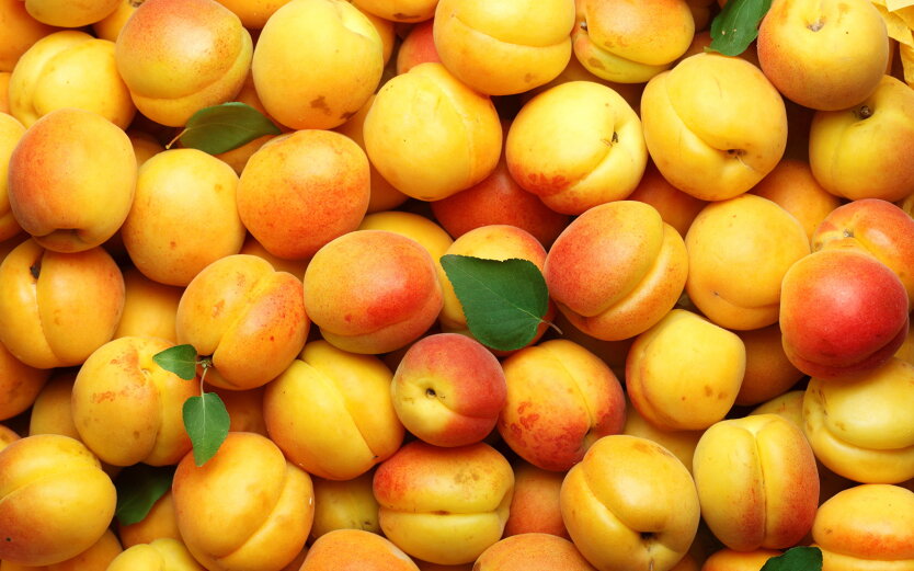 Forget about cheap apricots: what will happen to fruit and berry prices in Ukraine