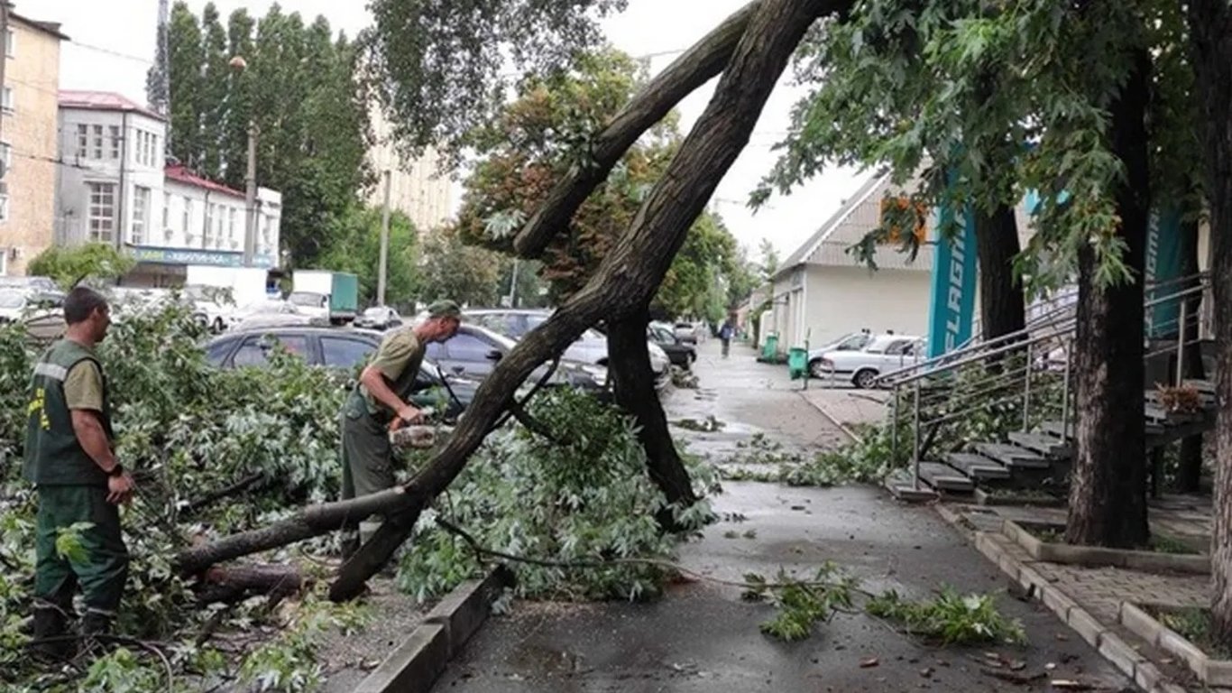 У Харкові вирує негода — на дитину впало дерево