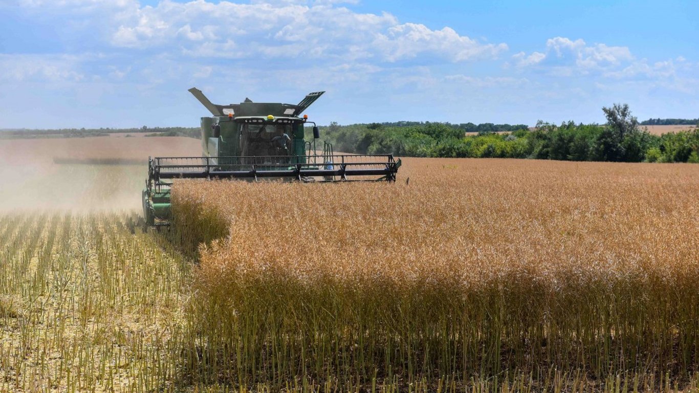 There are enough grains, but there is a nuance - what problem will affect the agrarian market