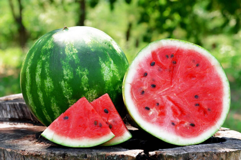 The watermelon season has begun in Ukraine: what is wrong with the prices